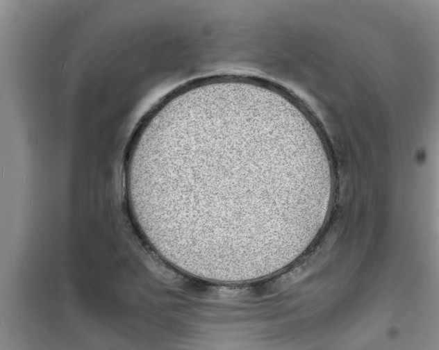 X0000100981271200807221225