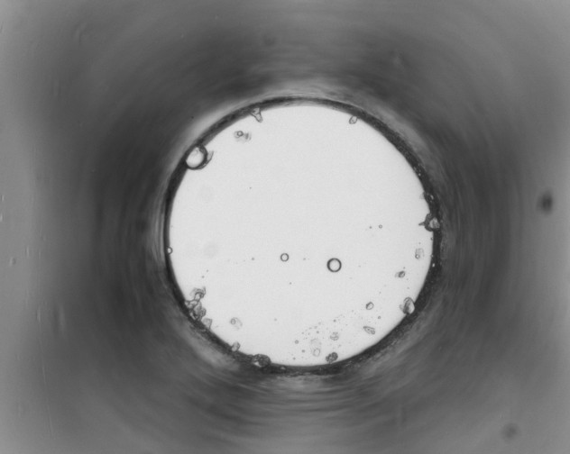 X0000100981272200807221225