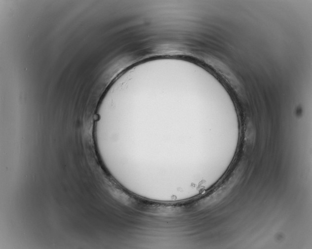 X0000100981273200807221225