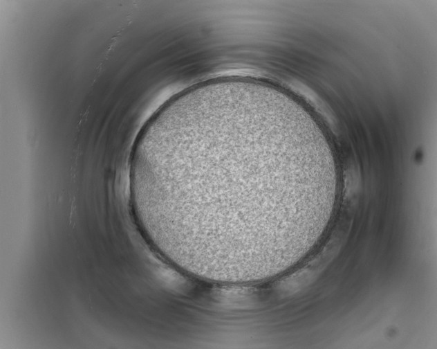 X0000100981274200807221225