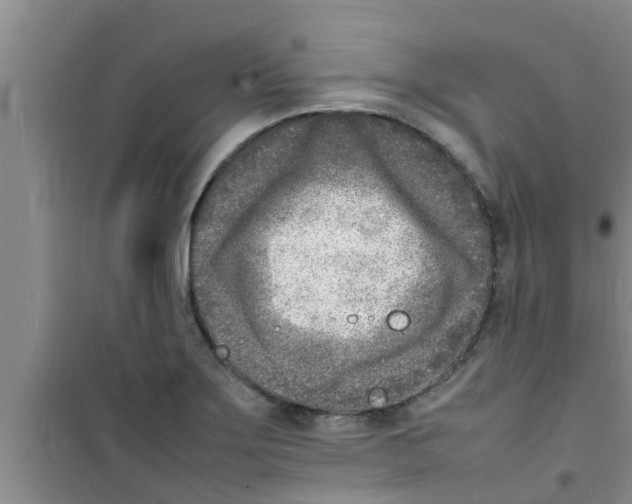 X0000100981275200807221225