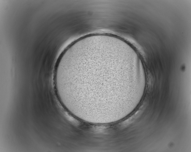 X0000100981278200807221225