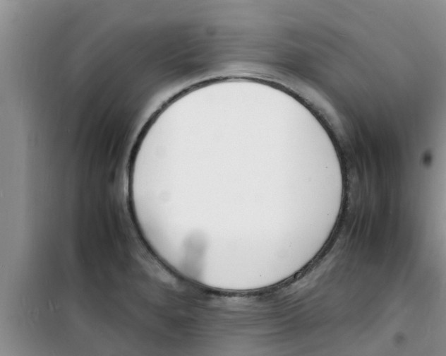 X0000100981280200807221225