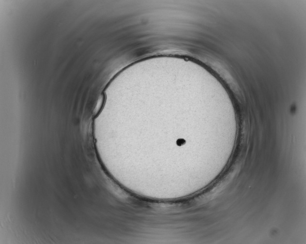 X0000100981281200807221225