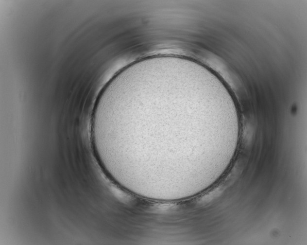 X0000100981282200807221225