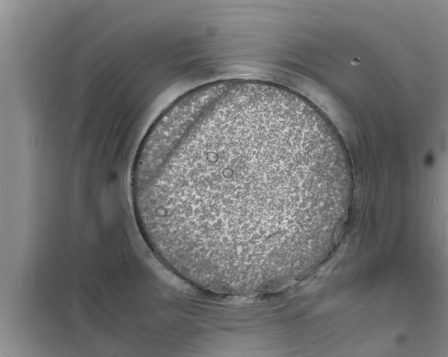 X0000100981283200807221225