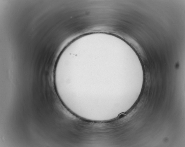 X0000100981288200807221225