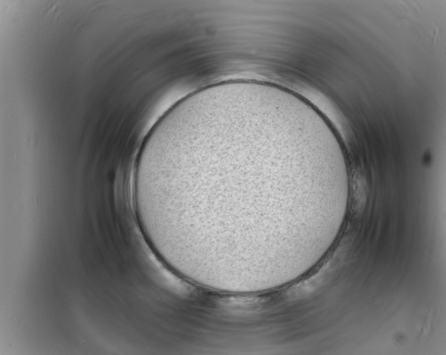 X0000100981290200807221225