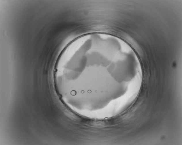 X0000100981291200807221225