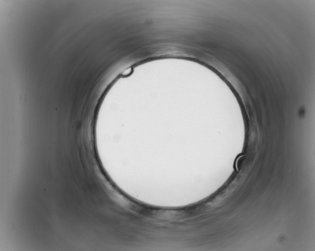 X0000100981293200807221225