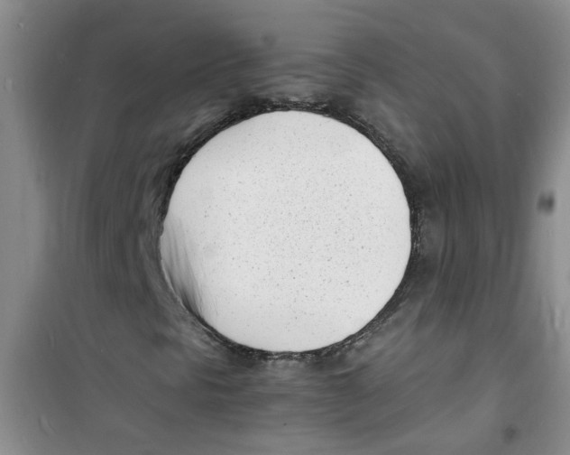 X0000100981297200807221224