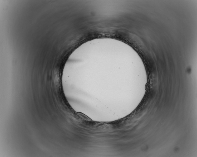 X0000100981298200807221224