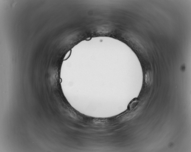 X0000100981299200807221224