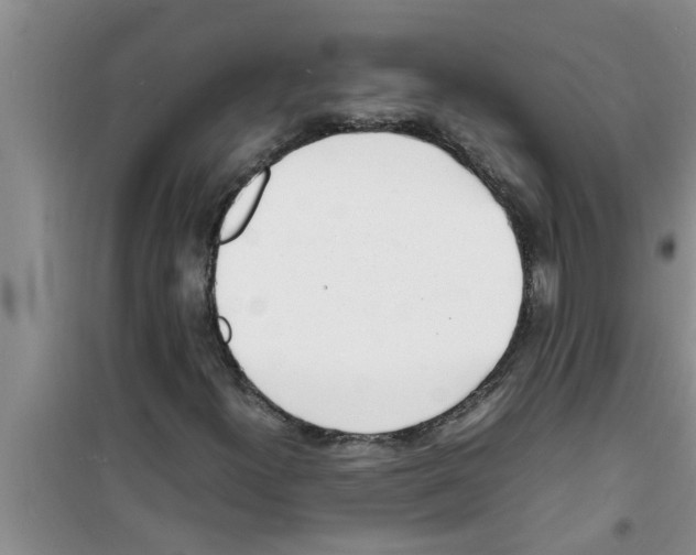 X0000100981300200807221224