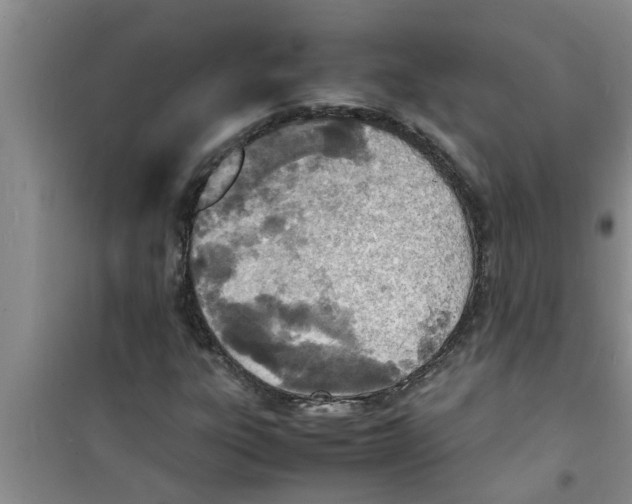 X0000100981303200807221224