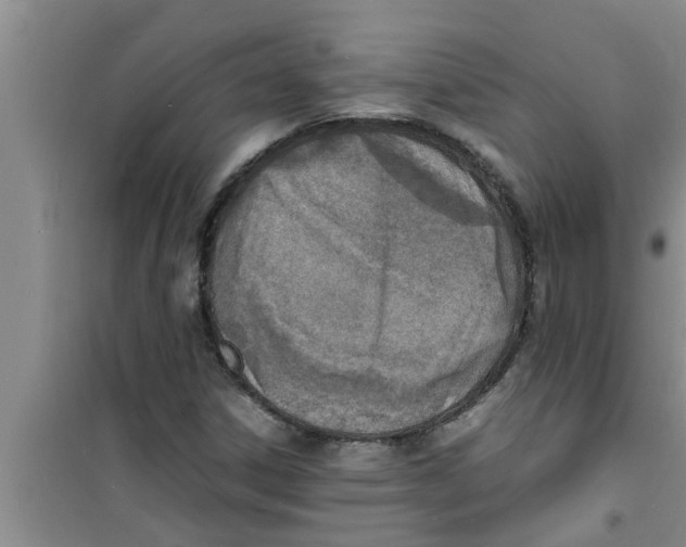 X0000100981306200807221224