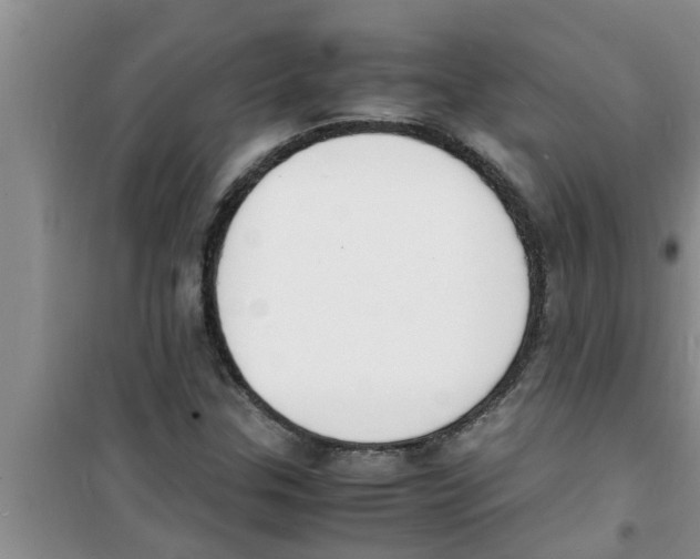 X0000100981307200807221224