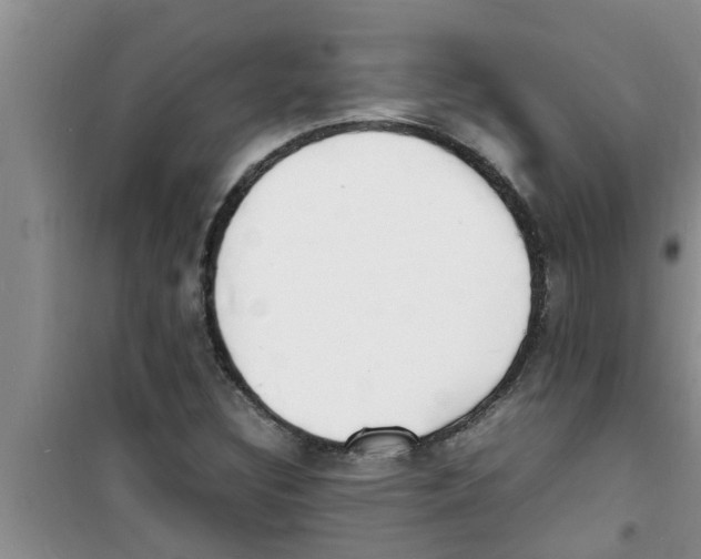 X0000100981308200807221224