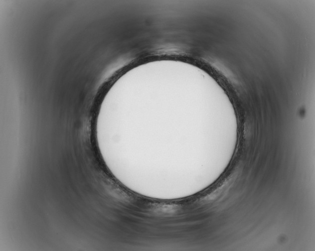 X0000100981309200807221224