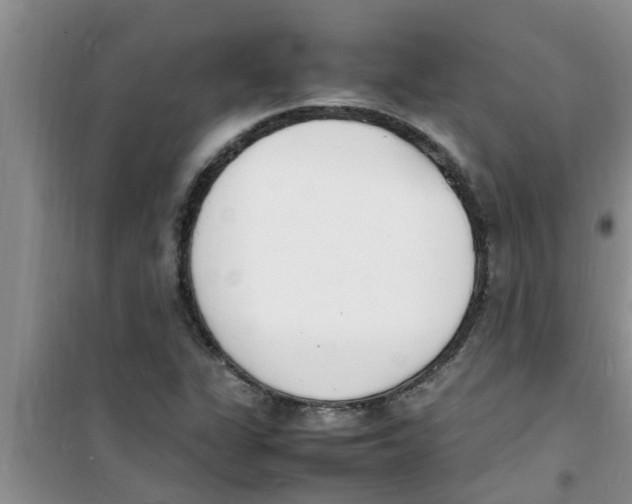 X0000100981311200807221224