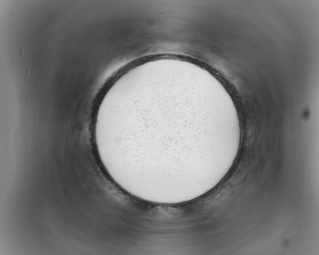 X0000100981312200807221224