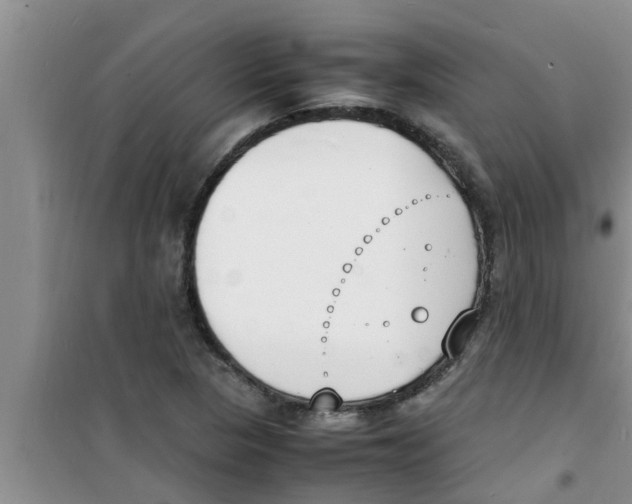 X0000100981313200807221224