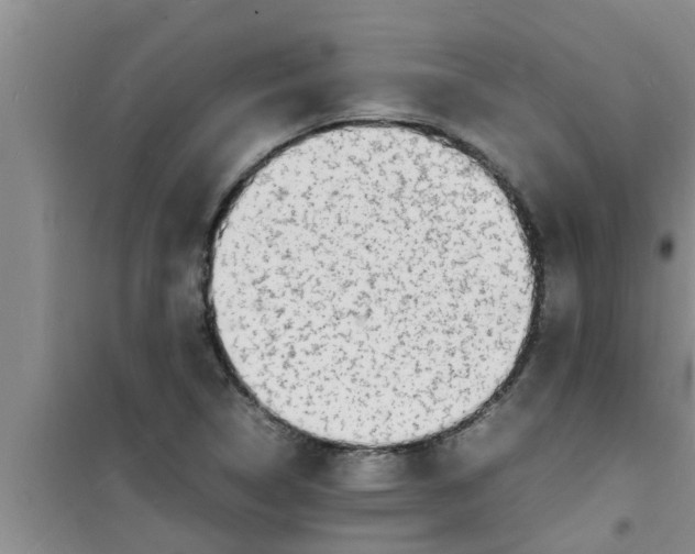 X0000100981314200807221224