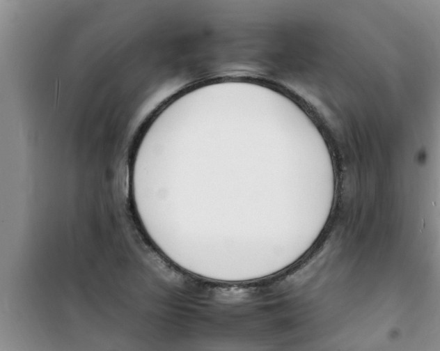 X0000100981317200807221224