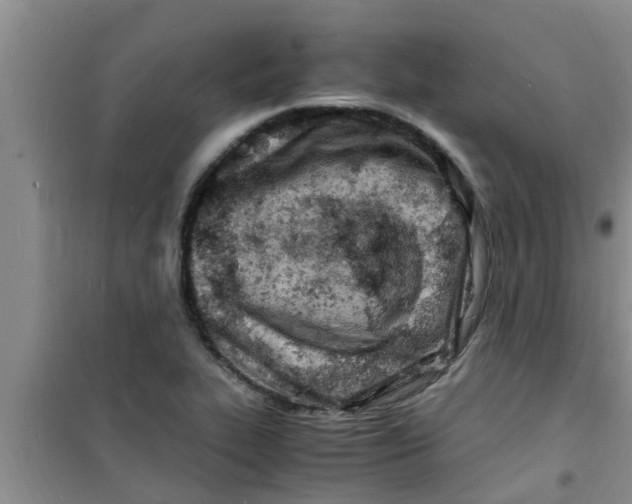 X0000100981319200807221224