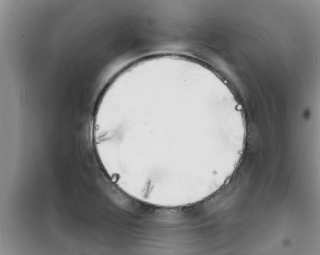 X0000100981320200807221224