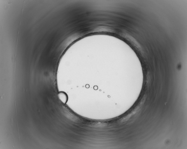 X0000100981321200807221224