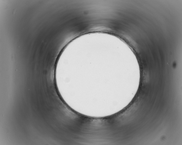 X0000100981322200807221224