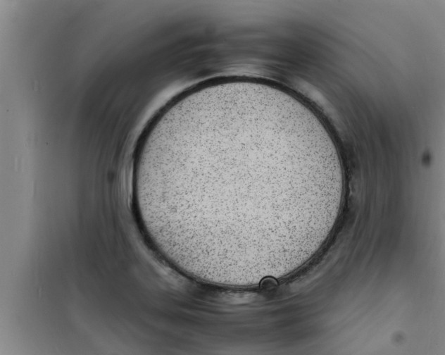 X0000100981323200807221224