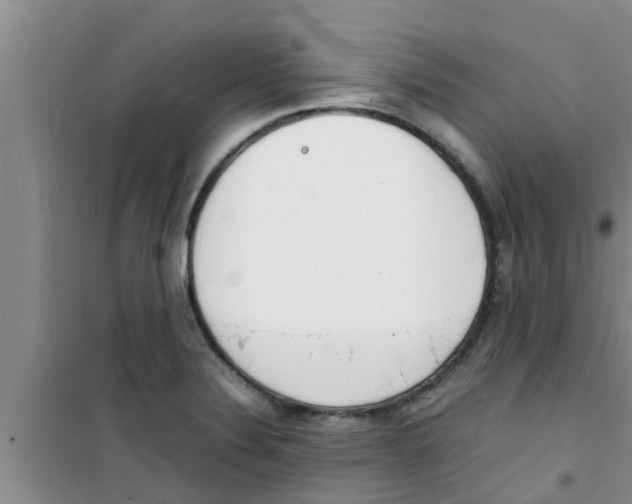 X0000100981324200807221224