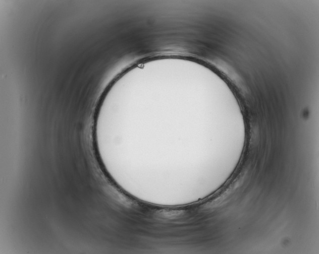 X0000100981325200807221224