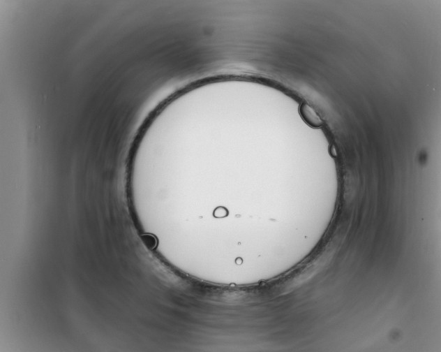 X0000100981326200807221224