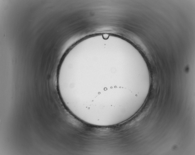 X0000100981328200807221224