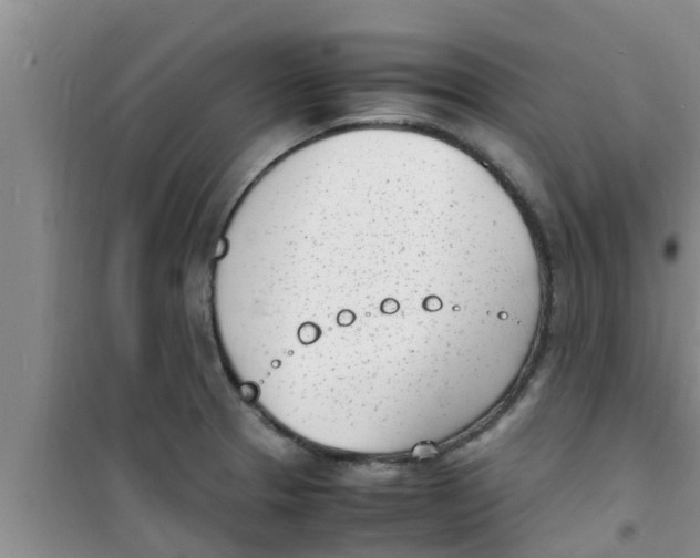 X0000100981329200807221224