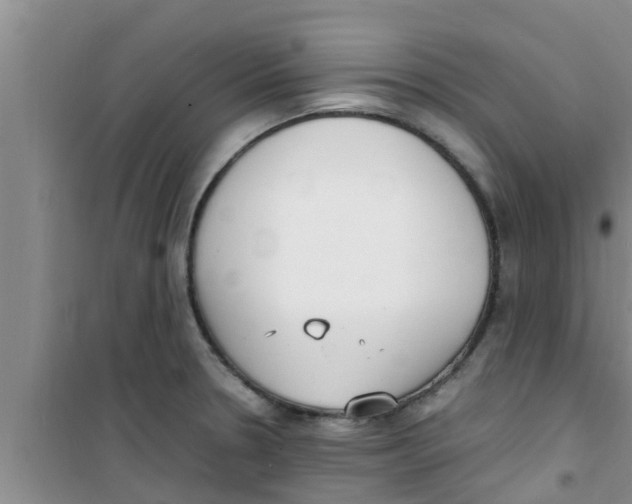 X0000100981330200807221224