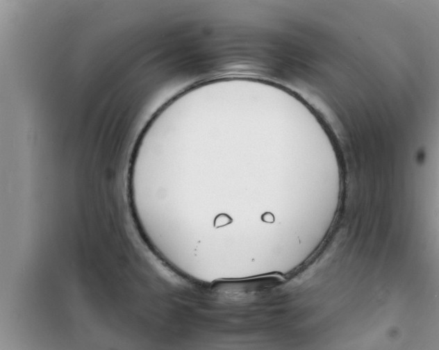 X0000100981333200807221224