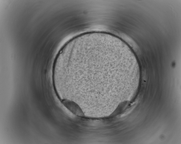 X0000100981334200807221224