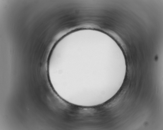 X0000100981335200807221224