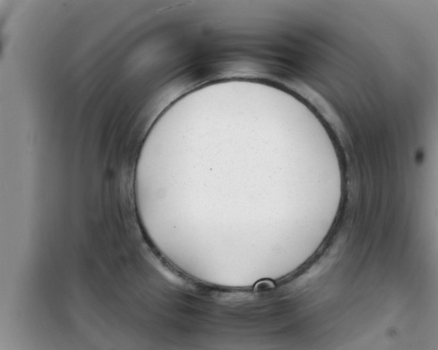 X0000100981337200807221224