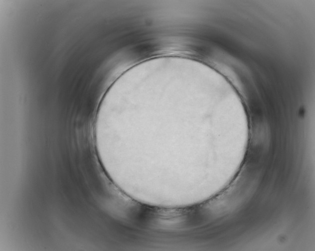 X0000100981338200807221224