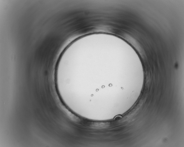 X0000100981339200807221224