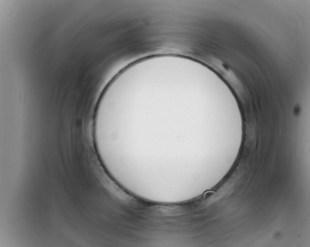 X0000100981340200807221224