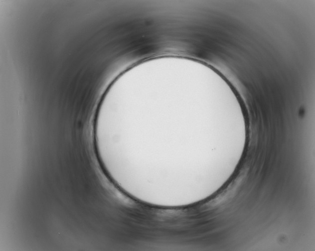 X0000100981341200807221224