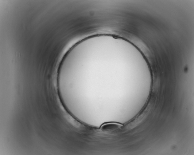 X0000100981342200807221224