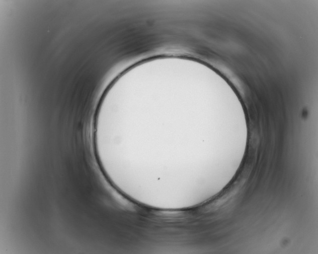 X0000100981343200807221224