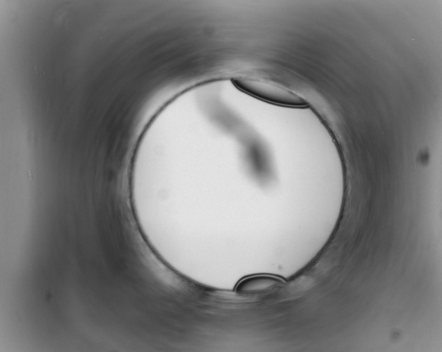 X0000100981344200807221224